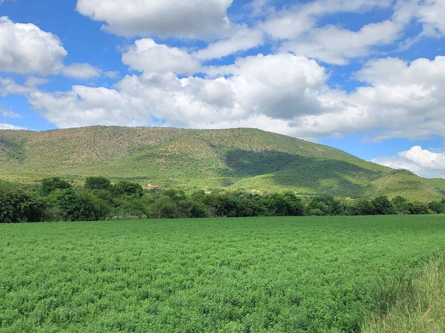 Commercial Property for Sale in Zoutpansdrift North West